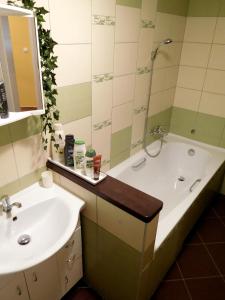 ein Badezimmer mit einer Badewanne, einem Waschbecken und einem Spiegel in der Unterkunft Apartment Boroví in Karlštejn