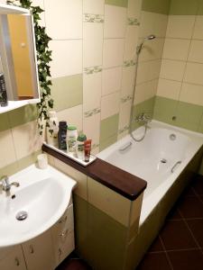 a bathroom with a tub and a sink and a mirror at Apartment Boroví in Karlštejn