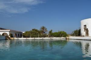 een zwembad met water voor een huis bij Cortijo La Molina de Cabo de Gata in El Cabo de Gata