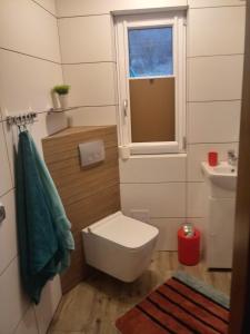 mała łazienka z toaletą i umywalką w obiekcie Domek Na Skarpie w mieście Zubrzyca Dolna +24 zdjęcia