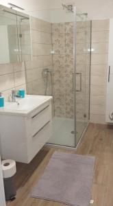 een badkamer met een douche, een wastafel en een spiegel bij Apartmaji Pika in Cerklje na Gorenjskem