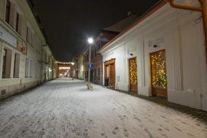 una calle vacía por la noche con luces de Navidad en Apartmány Viecha en Bardejov