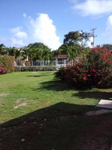 a yard with flowers and a house in the background at West House Lusitania in San Andrés