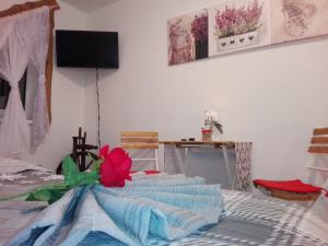 A television and/or entertainment centre at Privat Gazda Pension