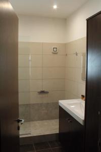 a bathroom with a shower and a sink and a sink at Kornesios Suite in Nicosia
