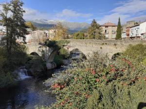 a bridge over a river in a city with flowers at La Calleja del Canchal in Arenas de San Pedro
