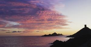 阿雅克修干草叉花园住宿加早餐旅馆的相册照片