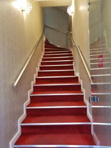 a staircase with red carpet and metal rails at Sulduz Hotel in Trabzon