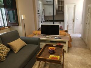 a living room with a couch and a tv at Apartamento Córdoba Mezquita in Córdoba