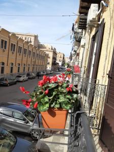 Foto dalla galleria di A Casa di Josephine a Palermo