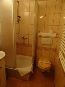 a small bathroom with a toilet and a shower at Willa Pod Jedlicą in Ciechocinek +24 photos