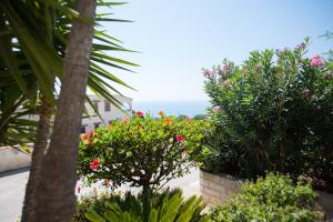 Kép Sea Front Apartment 5 beds with balcony 250 meters from the beach szállásáról Case San Marcóban a galériában