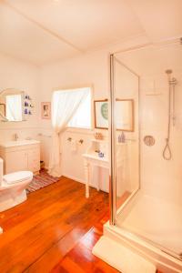 a bathroom with a shower and a toilet and a sink at Annies B and B in Warkworth