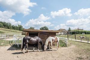 two horses are standing in front of ashed at Agriturismo Goccia di Luna in Umbertide