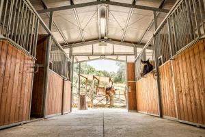 a horse is standing inside of a barn at Agriturismo Goccia di Luna in Umbertide