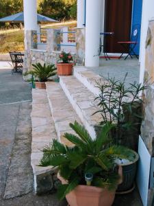 Fotografia z galérie ubytovania Villa Iremia v destinácii Chrani