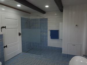 ein Bad mit einer Dusche und einer Glastür in der Unterkunft Schöne gemütliche Ferienwohnung mit Kamin II im Harz in Darlingerode