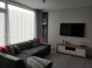 ein Wohnzimmer mit einem Sofa und einem Flachbild-TV in der Unterkunft Domek nad Żylicą in Szczyrk