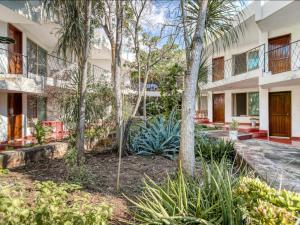 a courtyard of a building with trees and plants at Hotel San Carlos in Tizimín