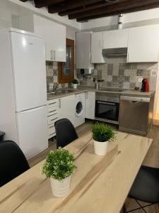 a kitchen with a wooden table with two plants on it at AnDiMi Don Diego in Toledo