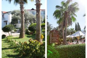 Сад в The Ship Inn Hotel