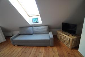 TV a/nebo společenská místnost v ubytování Apartmán Malšín 2