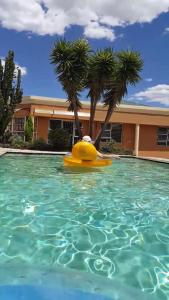 a yellow raft in a swimming pool with palm trees at SunSet West Self Catering Maraisburg Roodepoort in Johannesburg