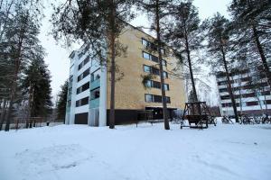 Cosy studio apartment - perfect for your stay in Rovaniemi! talvella