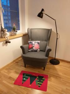 uma sala de estar com uma cadeira e um tapete em Centro apartamentai em Druskininkai