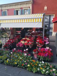 un mercado de flores con un ramo de flores en 2 pièces Vieux-Nice N en Niza