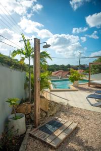 a house with a swimming pool and a palm tree at Sunny Hill Apartment in Willemstad