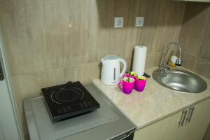 a kitchen counter with a stove and a sink at Alex Lodge in Zrenjanin