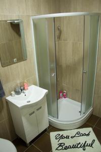 a bathroom with a shower and a toilet and a sink at Alex Lodge in Zrenjanin