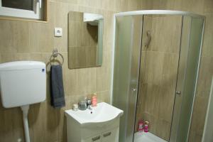 a bathroom with a shower and a sink and a toilet at Alex Lodge in Zrenjanin