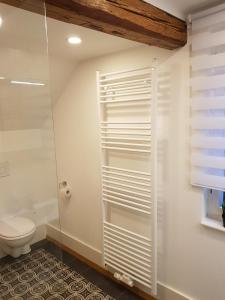 a bathroom with a toilet and a glass shower at Meisterhaus Alpirsbach Loft in Alpirsbach