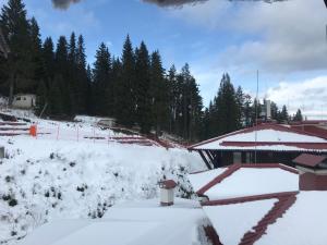 a building covered in snow with trees in the background at Grand Monastery Apart-Hotel in Pamporovo
