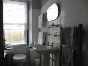 a bathroom with a white toilet and a sink at Llanwrtyd Hall B&B Angelis Holistic Retreat in Llanwrtyd Wells