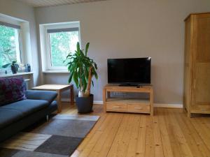 sala de estar con TV de pantalla plana sobre una mesa en Grüne Oase, en Hargesheim