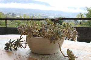 Afbeelding uit fotogalerij van Trento Small View in Trento