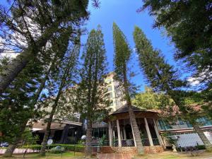 a building with three tall trees in front of it at Century Pines Resort Cameron Highlands in Cameron Highlands +38 photos