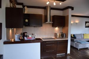 Kuchyň nebo kuchyňský kout v ubytování Apartamenty Bukowa Wisła