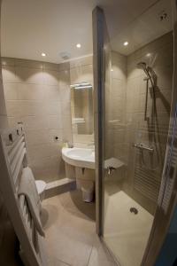 a bathroom with a shower and a sink and a toilet at Hotel Le Pont Neuf in Saint-Affrique