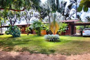 a house with a palm tree in the yard at Casa Cacau in São Miguel do Gostoso