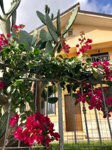 une clôture avec des fleurs roses devant une maison dans l'établissement La Rinella, à Caria