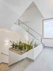 uma escada branca com plantas num quarto em APARTAMENTO LUMINOSO EN CANGAS em Cangas