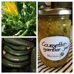 Afbeelding uit fotogalerij van Warmoes tuinderswoning in Nijmegen