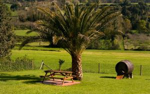 ein Picknicktisch neben einer Palme und einem Fass in der Unterkunft Apartamento Vega Rodiles El Valle in Villaviciosa + 3 Fotos