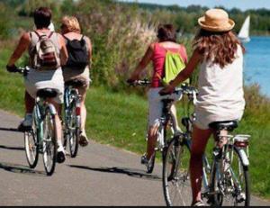 a group of people riding bikes down a road at Le Sami in Lausanne