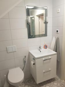 Kúpeľňa v ubytovaní Eidsvoll Myrer
