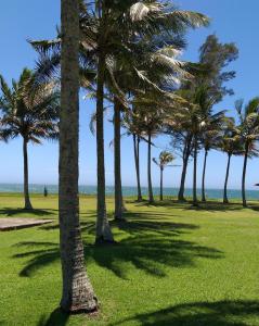 a row of palm trees on the beach at FLATS Beira Mar Prainha Barra de Sao Joao - Rio das Ostras in Barra de São João